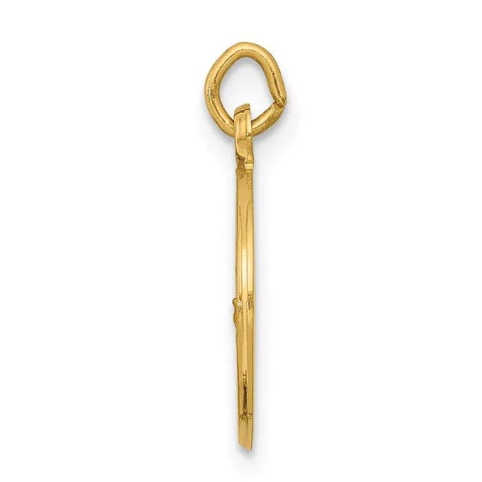14k Yellow Gold Our Lady of Lourdes Medal Charm TreasureFineJewelers Charm Necklaces