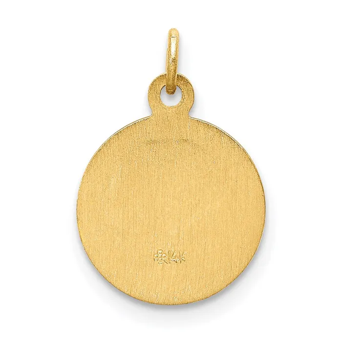 14k Yellow Gold Our Lady of Lourdes Medal Charm TreasureFineJewelers Charm Necklaces